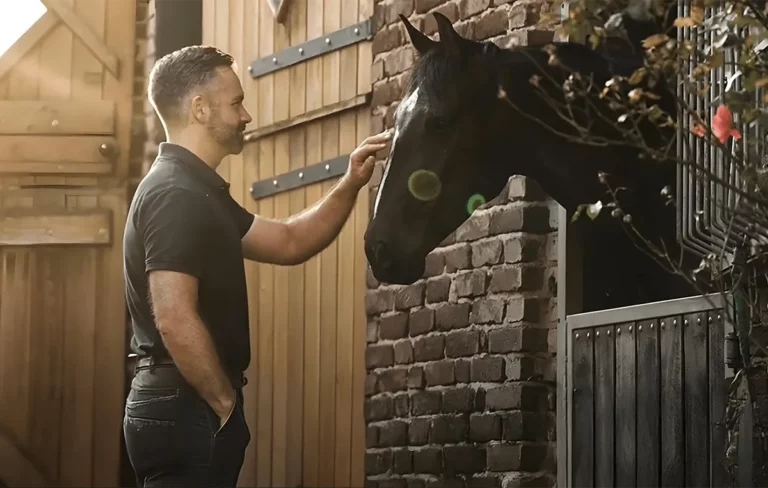 Cavalegis Avocat Aurelie Rochereuil Avocat Rennes 03