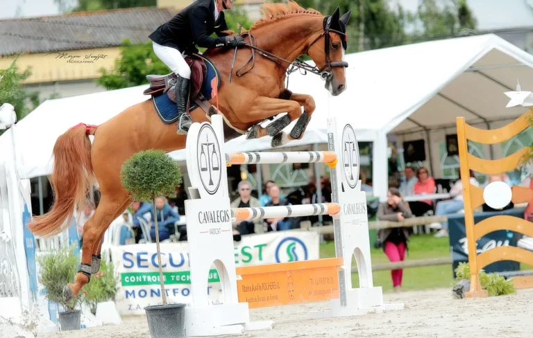 Cavalegis Avocat Aurelie Rochereuil Avocat Rennes 07